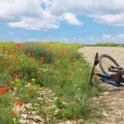 צילום: FREEPIK