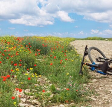 צילום: FREEPIK