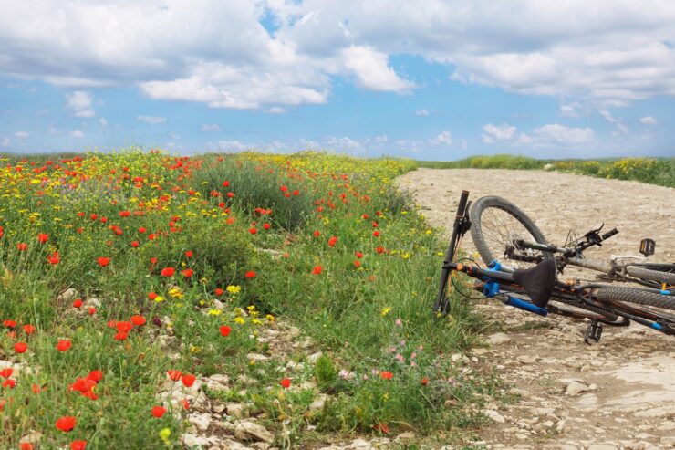 צילום: FREEPIK