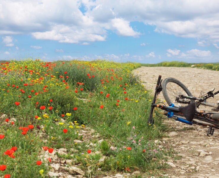 צילום: FREEPIK
